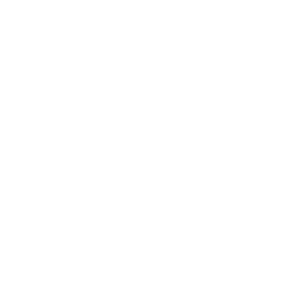 Lic. Médico Cirujano